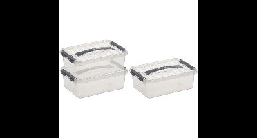 3x sunware q-line opberg box/opbergdoos - 4 liter - 30 x 20 x 10 cm - kunststof - transparant