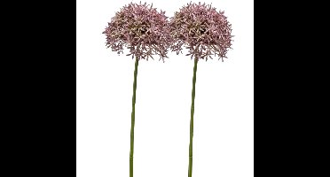 Allium/Sierui kunstbloem - 2x - losse steel - lila - 62 cm - Natuurlijke uitstraling