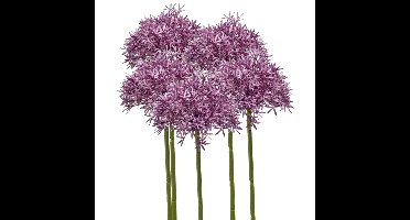 Allium/Sierui kunstbloem - 5x - losse steel - paars - 62 cm - Natuurlijke uitstraling