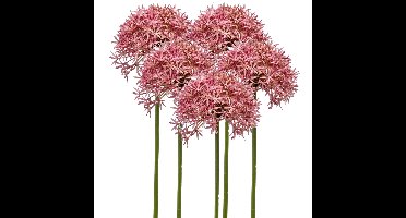 Allium/Sierui kunstbloem - 5x - losse steel - roze - 62 cm - Natuurlijke uitstraling
