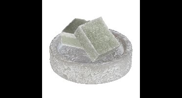 Amberblokjes/geurblokjes cadeauset - eucalyptus geur - inclusief schaaltje