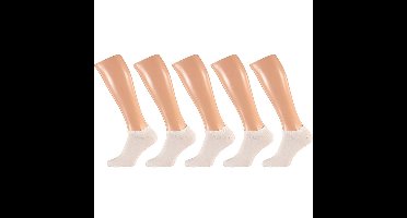 Apollo witte heren sneakersokken/enkelsokken - maat 41-46 - 10x paar - katoen
