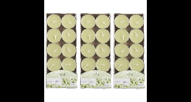 Arti Casa Geurtheelichtjes - 30x stuks - meloen - lichtgroen - was - 3,5 uur