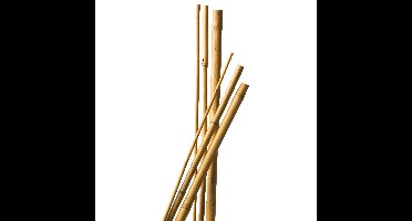 Bamboestokken - 28x stuks - 90 cm - plantensteun / tonkinstokken