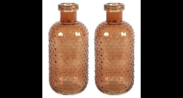 Bloemenvaas Cactus Dots - 2x - lichtbruin transparant - glas - D11 x H24 cm