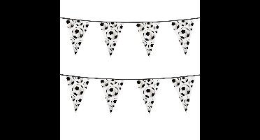 Boland PE vlaggenlijn - 2x - 6m - Voetbal thema