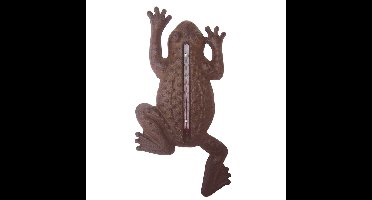 Buiten thermometer - gietijzer - kikker vorm - bruin - 24 cm - tuindecoratie - Buitenthermometers