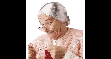Carnaval verkleed pruik - Grootmoeder - grijs - volwassenen - polyester - met knotje
