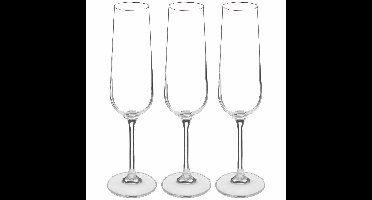 Champagneglazen set Lena - doosje 12x stuks - chique transparant glas - 20 CL