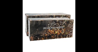 Clusterverlichting - 2x - 384 led lampjes - goud - 240 cm - lichtsnoer - kerstverlichting