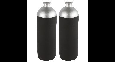 Countryfield Bloemen/deco vaas - 2x - zwart/zilver - glas - luxe fles vorm - D13 x H41 cm