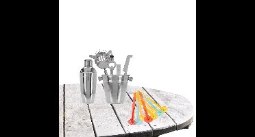 Excellent Houseware zilveren RVS barset / cocktailset met cocktailshaker met stampers