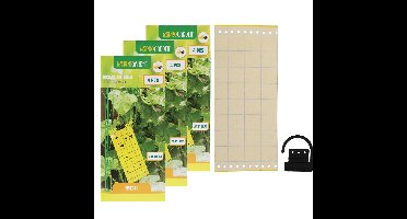 Fruitvliegjes val fruit hangende plaatjes - 12x stickers - insecten/vliegen bestrijding