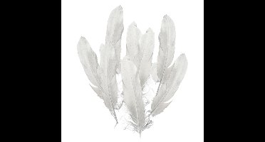 Ganzenveer/sierveer - 50x stuks - zilver - 18-22 cm - decoratie/hobbymateriaal