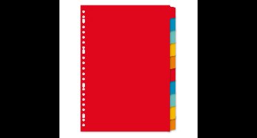 Gekleurde tabbladen - A4 formaat - 10x stuks - scheidings bladeren