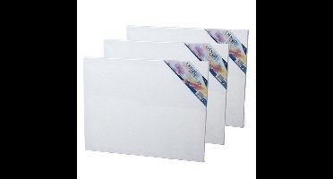 Gerimport Canvas schildersdoek - 4x - 50 x 40 cm - rechthoekig - doek
