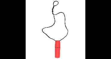 Gerimport opbergbox waterdicht - rood - kleine opberger - 17.50 x 4 cm - geldkoker