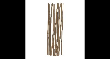 Gerimport Plantenstokken - 10x stuks - 30 cm - plantensteun / tonkinstokken