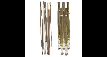 Gerimport Plantenstokken - 50x stuks - 60 cm - plantensteun / tonkinstokken