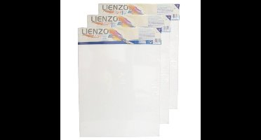 Gerimport Schilderdoek - 6x stuks - 40 x 30 cm - blanco canvas - rechthoekig - houten frame