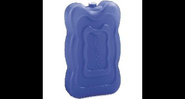 Grote koeltas/koelbox koelelementen blauw 350 gram 18 x 11 cm