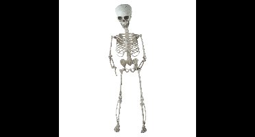 Hangende horror decoratie skelet 70 cm