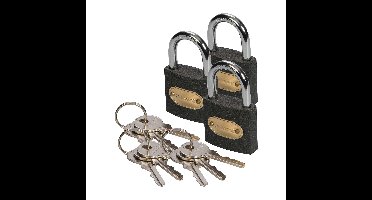 Hangslot met 3 sleutels - 3x - 50 mm - ijzer - kofferslot - heavy duty