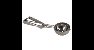 IJsschep/ijslepel voor 6 cm scoops - zilver - 24 cm - RVS