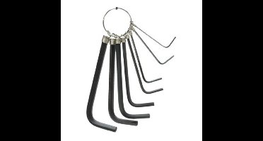 Kinzo Inbussleutels set - 8-delig - staal - aan sleutelring