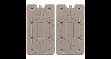 Koelelement Ice Pack - 2x - beige - plat - polyethyleen - 350 gram - 24 x 14 x 1.5 cm