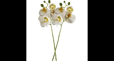 Kunstbloem Orchidee - 2x - 56 cm - wit - losse tak - kunst zijdebloem - Phalaenopsis