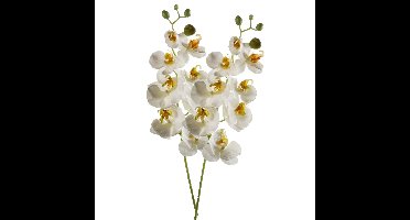 Kunstbloem Orchidee - 2x - 68 cm - wit - losse tak - kunst zijdebloem - Phalaenopsis