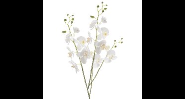 Kunstbloem Orchidee - 2x - 95 cm - wit - losse tak - kunst zijdebloem - Phalaenopsis