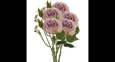 Kunstbloem roos Anne - 5x - paars - 37 cm - decoratie bloemen