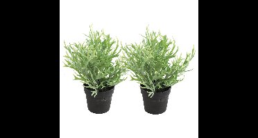 Kunstplant Platycerium in bloempot - 2x - Groen - 20 x 24 cm