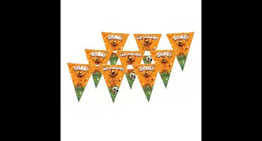 Loeki de Leeuw Hup Holland vlaggenlijn 3x oranje 10 meter