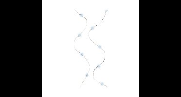 Lumineo Draadverlichting - micro - 40 lampjes - LED - helder wit - kerstverlichting