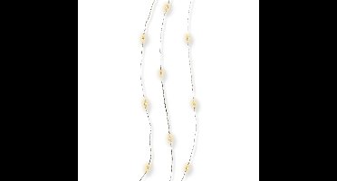 Lumineo Draadverlichting - micro - 60 lampjes - LED - warm wit - 295 cm - kerstverlichting