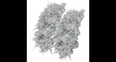Luxe zilveren veren boa van 180 cm - 2x - 80 gram - carnaval verkleed spullen/accessoires