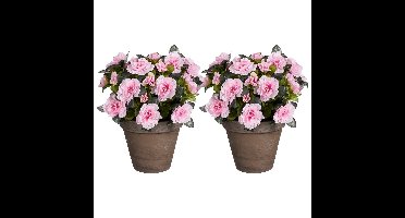 Mica Decorations Kunstplant - 2x - Azalea - Roze - in pot - 31 cm