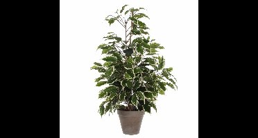 Mica Decorations Kunstplant Ficus - groen/wit - 65 cm - binnen - kunstplanten