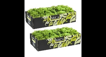 Mica Decorations Rendiermos - 1 kilo - groen - hobby mos