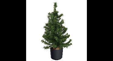 Mini kerstboom groen - in kunststof pot antraciet grijs - 75 cm - kunstboom