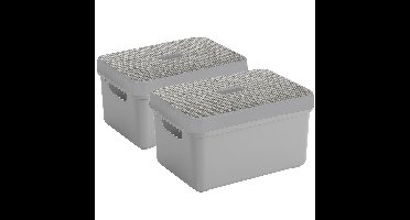 Opbergbox/mand lichtgrijs 5 liter kunststof met deksel - Set van 2x stuks