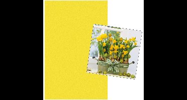 Pasen tafel dekken decoratie set - geel tafelkleed 138 x 220 cm - en 20x paas thema servetten