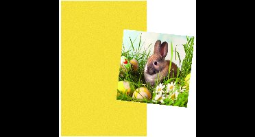 Pasen tafel dekken decoratie set - geel tafelkleed 138 x 220 cm - en 20x paas thema servetten