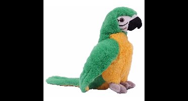 Pia Soft Toys Papagaai knuffel - groen / geel - 24 cm - pluche - knuffeldier - vogel knuffel