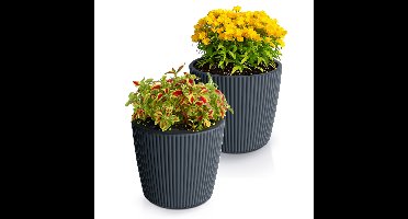 Plantenpot/bloempot Buckingham - 2x - buiten/binnen - kunststof - antraciet - D34 x H30 cm