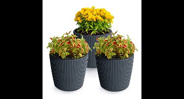 Plantenpot/bloempot Buckingham - 3x - buiten/binnen - kunststof - antraciet - D17 x H15 cm