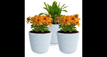 Plantenpot/bloempot Buckingham - 3x - buiten/binnen - kunststof - lichtgrijs - D14 x H13 cm